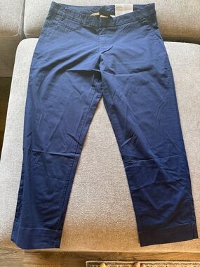 Patagonia Women’s Navy Stretch Chinos